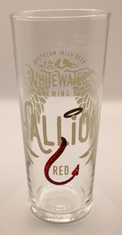 Hallion IPA 2019 pint glass glass