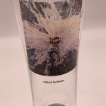 Beck's Roderick Buchanan half pint glass glass