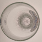 Maisel's Weisse 50cl beer glass glass