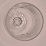 Grolsch 2010 half pint glass glass