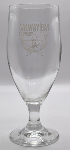 Galway Bay 2017 half pint "we craft beer" glass